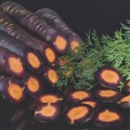 Υβρίδιοι Σπόροι - Υβρίδιος Σπόρος Καρότου - Υβρίδιο Καρότο - PURPLE HAZE F1 ΧΡΩΜΑΤΙΣΤΑ